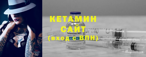хмурый Аркадак
