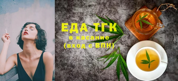 хмурый Аркадак
