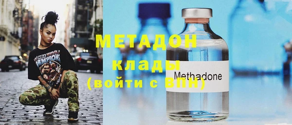 хмурый Аркадак