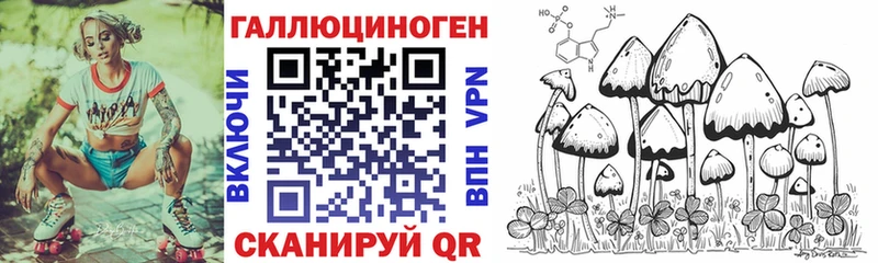 Псилоцибиновые грибы Psilocybe  Малоярославец 